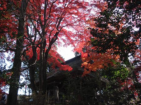 101128syorinzan 012b.jpg